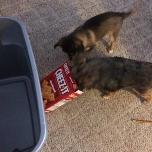 Meet your Posher, Lindsey rae-palmer